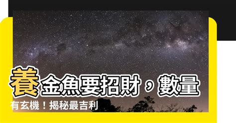 養金魚的數量|【金魚要養幾隻】金魚要養幾隻？掌握風水秘訣，招財納福！